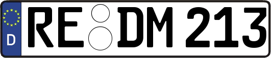 RE-DM213