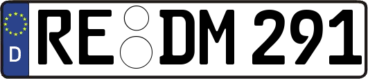 RE-DM291