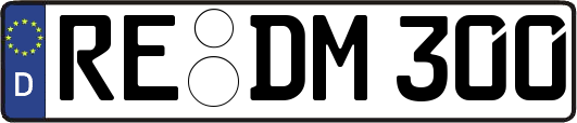RE-DM300