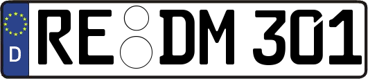 RE-DM301