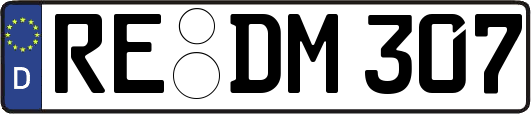 RE-DM307