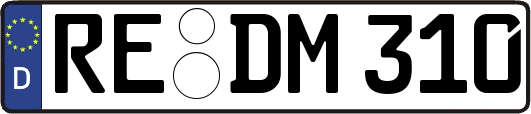 RE-DM310