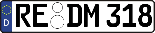 RE-DM318
