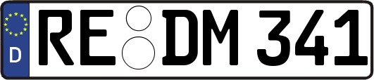 RE-DM341