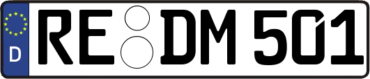 RE-DM501