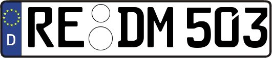 RE-DM503
