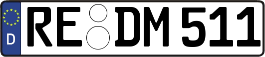 RE-DM511
