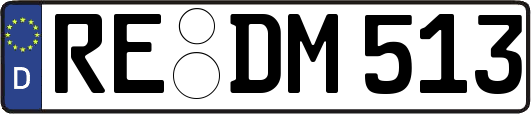 RE-DM513