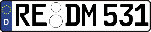 RE-DM531
