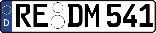 RE-DM541