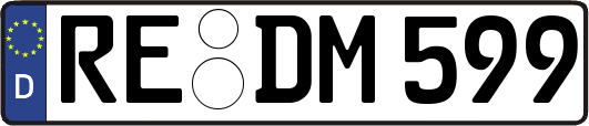 RE-DM599