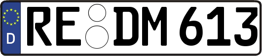 RE-DM613