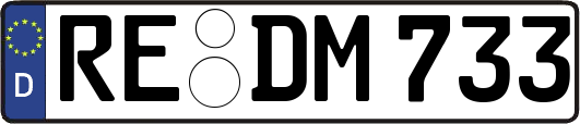 RE-DM733