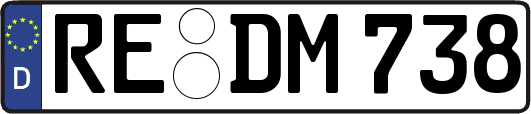 RE-DM738