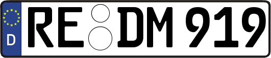 RE-DM919