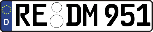 RE-DM951
