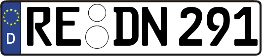 RE-DN291
