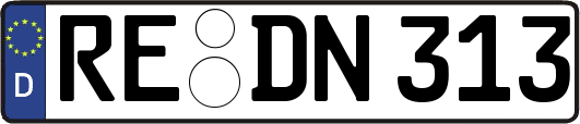 RE-DN313