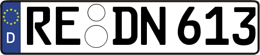 RE-DN613