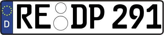 RE-DP291