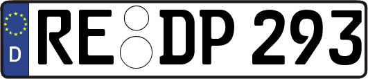 RE-DP293