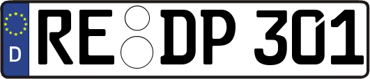 RE-DP301