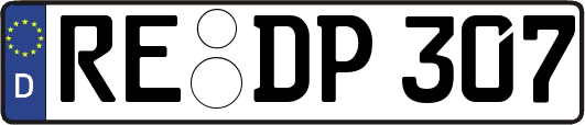 RE-DP307