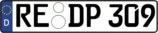RE-DP309