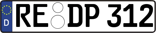 RE-DP312