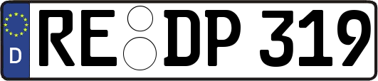 RE-DP319