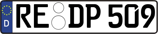 RE-DP509
