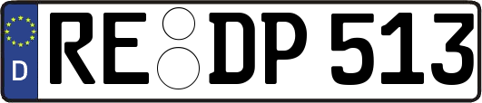 RE-DP513