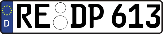 RE-DP613