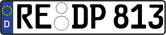 RE-DP813