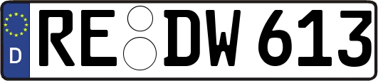 RE-DW613