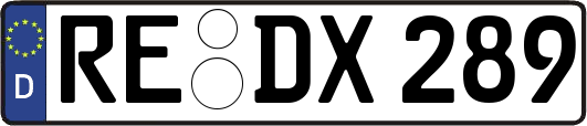RE-DX289