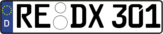 RE-DX301