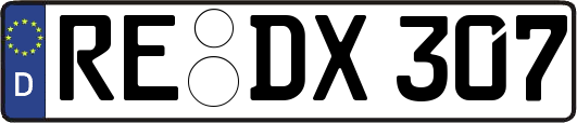 RE-DX307