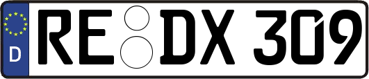 RE-DX309