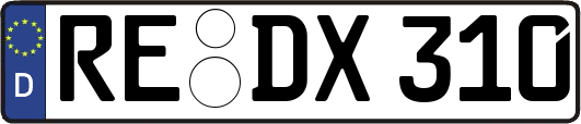 RE-DX310