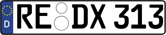 RE-DX313