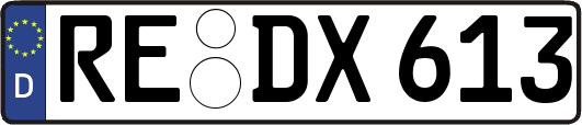 RE-DX613
