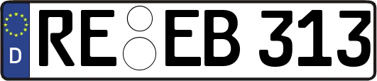 RE-EB313