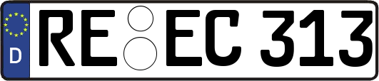 RE-EC313