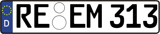 RE-EM313