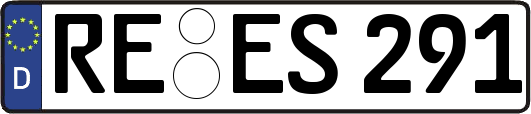 RE-ES291