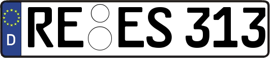 RE-ES313