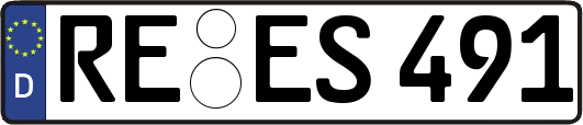 RE-ES491