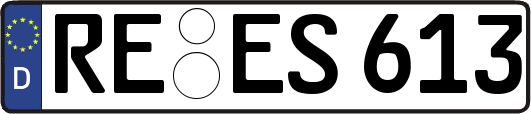 RE-ES613