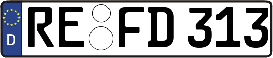 RE-FD313